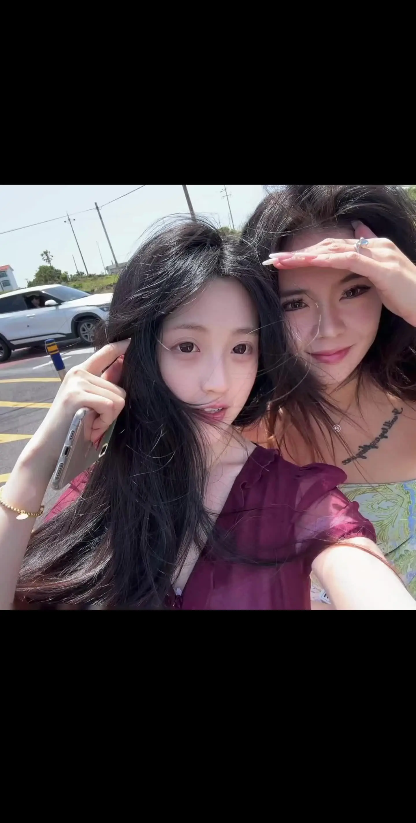 美羊羊和羚羊公主