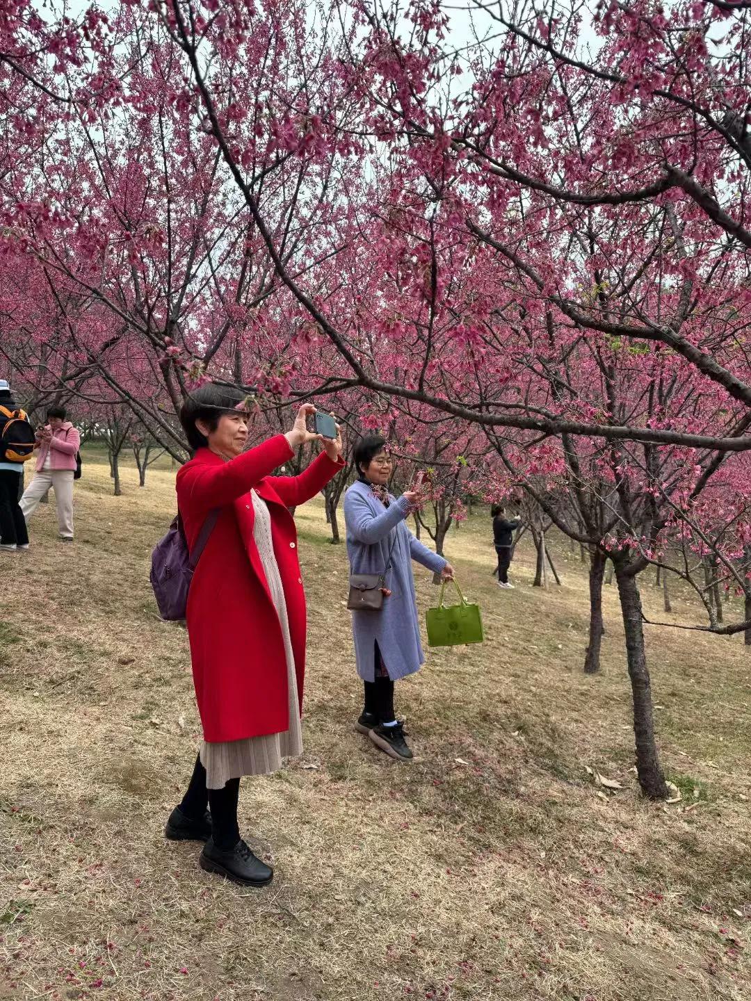 情人节我们同框
​笑颜如花绽放[玫瑰]