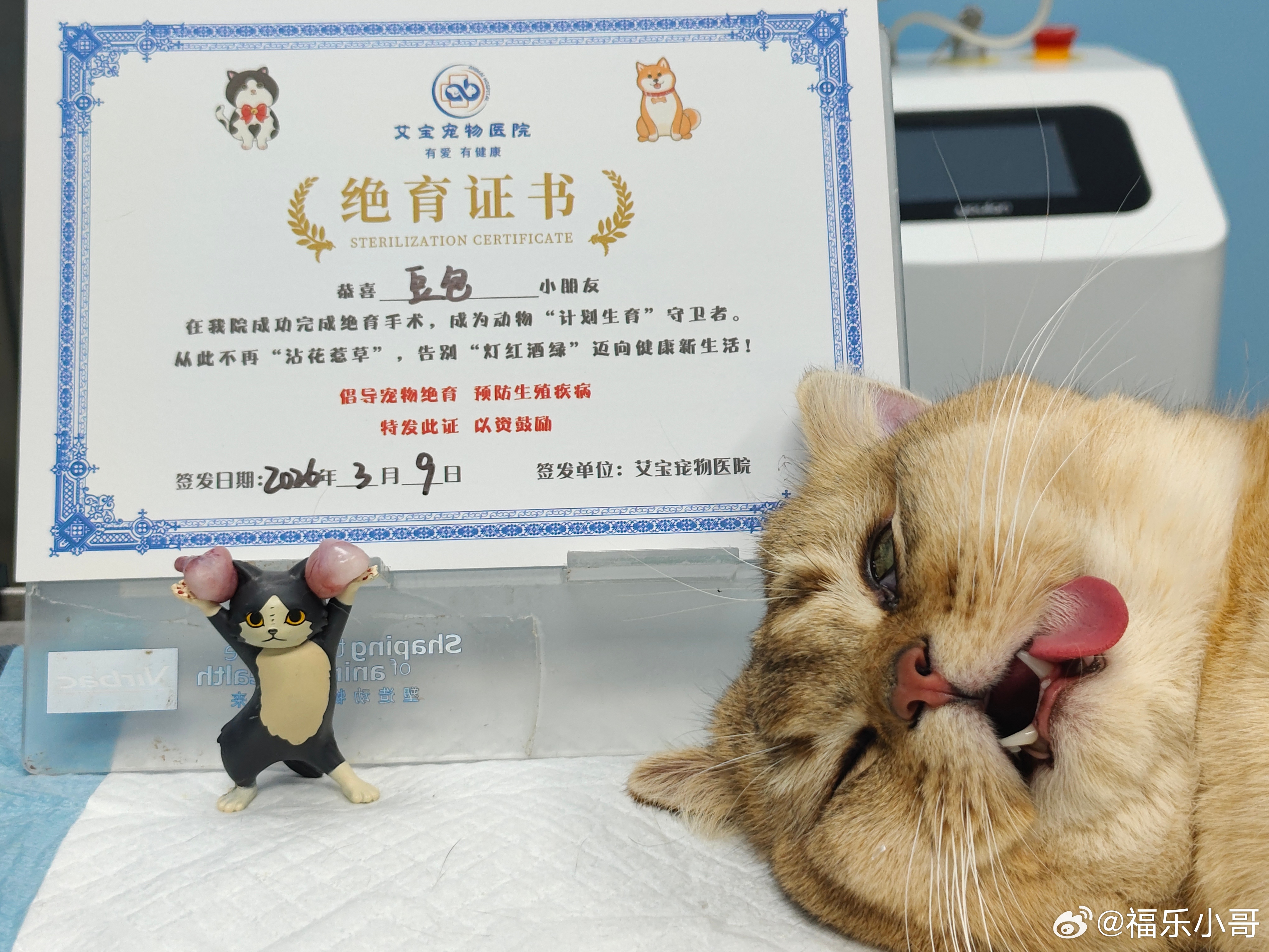 豆包：拆弹专家是坏人 