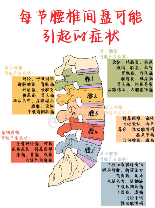 医学生绘本‖来解读每节腰椎可能引起的症状