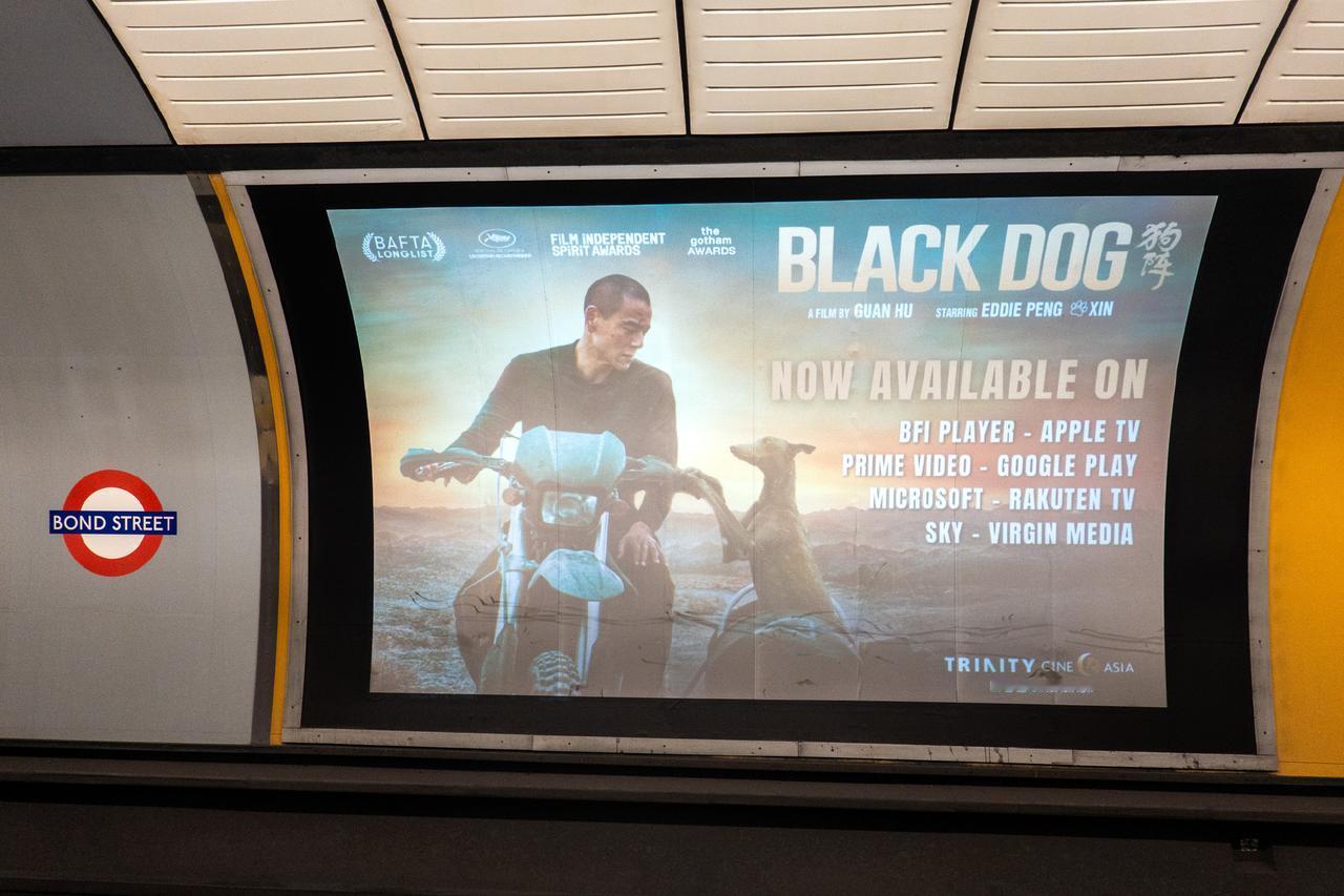 CineAsia电影发行把电影《狗阵》﻿BLACK DOG超大海报带到英国伦敦?