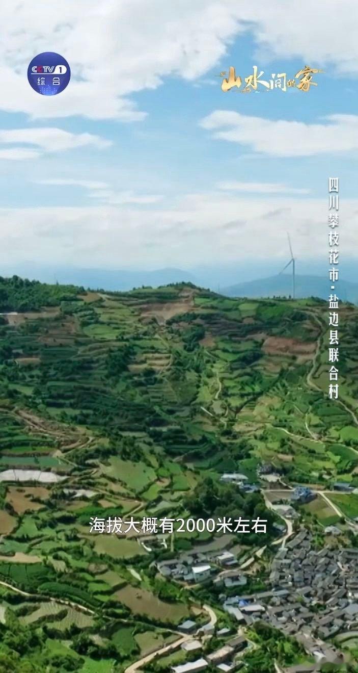 当中国乡村美成了封面中国乡村藏着巨型3D课本跟着爷爷去山里采蘑菇，他教我认“菌褶