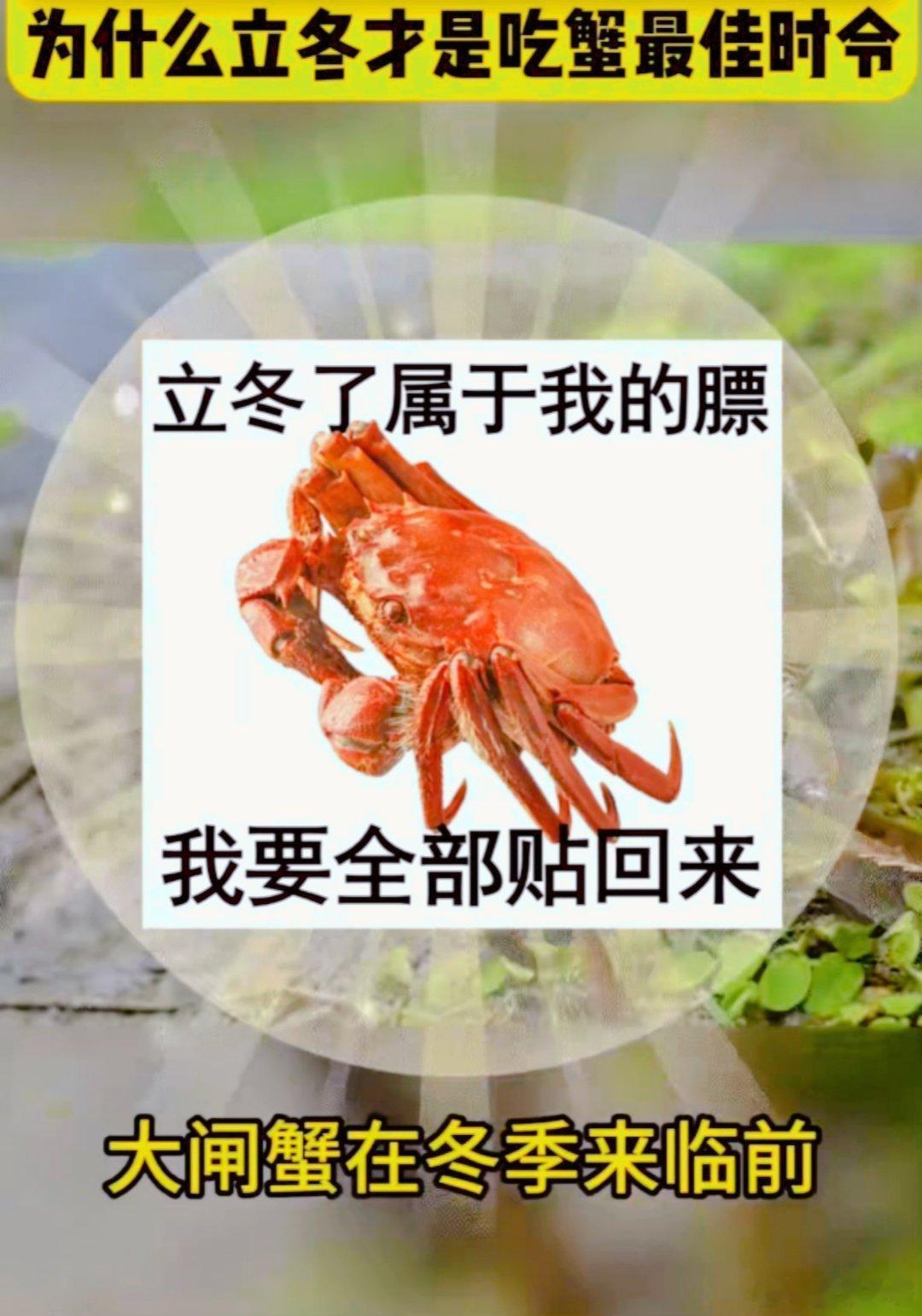 #为什么立冬才是吃蟹最佳时令# 什么？在网上买一箱大闸蟹只有拇指大？这不是大闸蟹