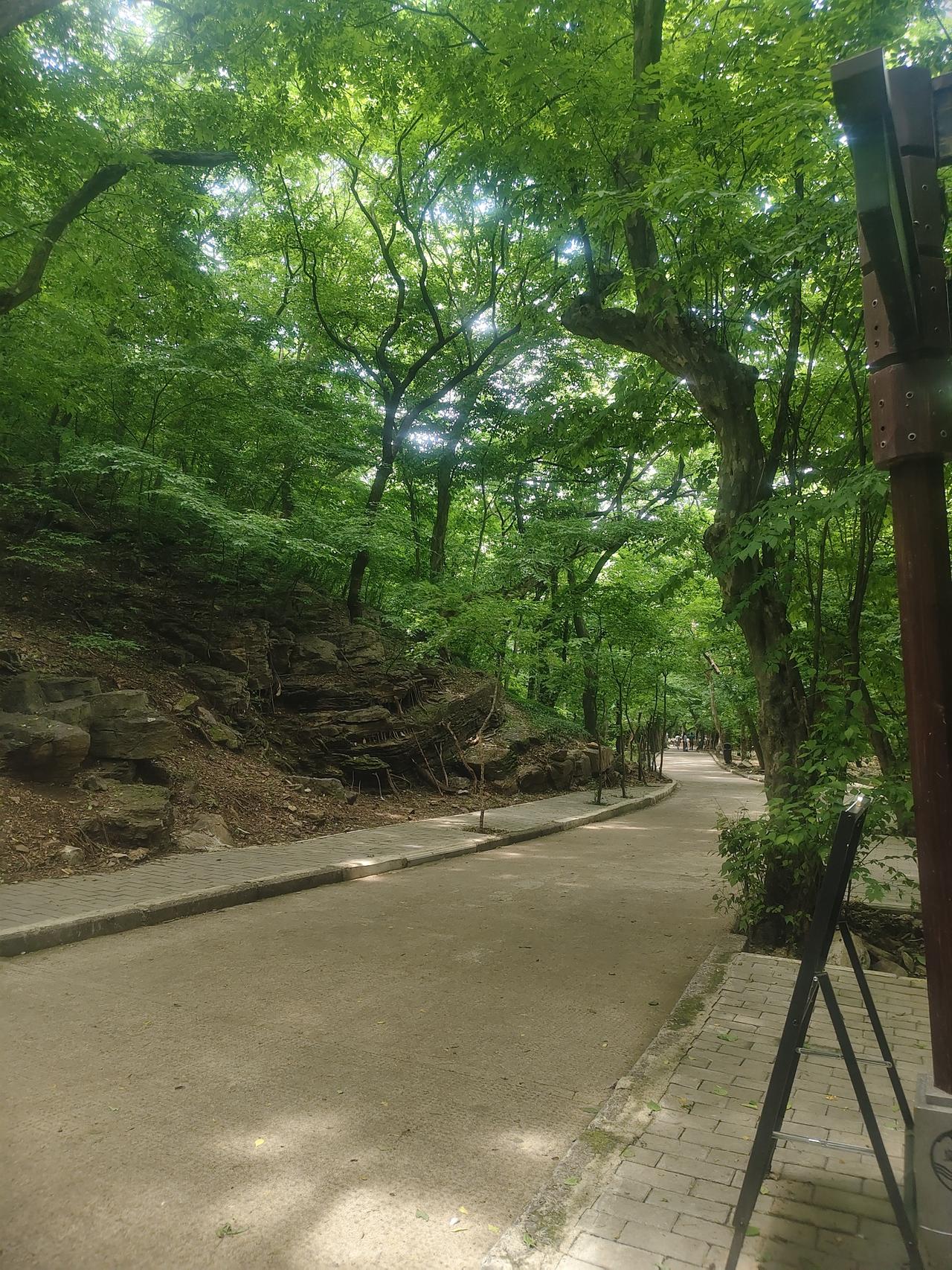 风景这东西，真的得靠随手拍来记录。就像我行车时，偶然撞见那山间风光，连绵青山被茂
