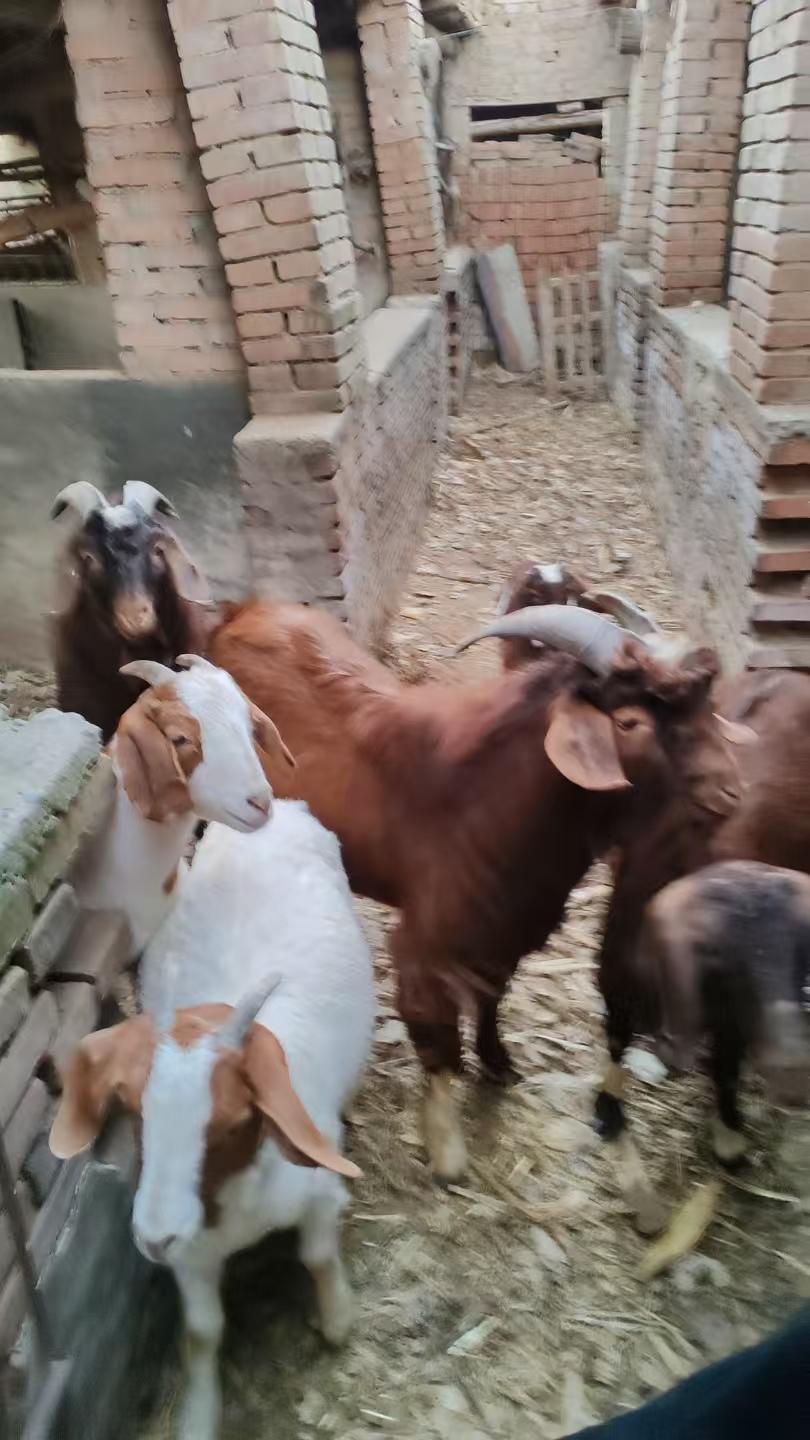 冬日生活打卡季