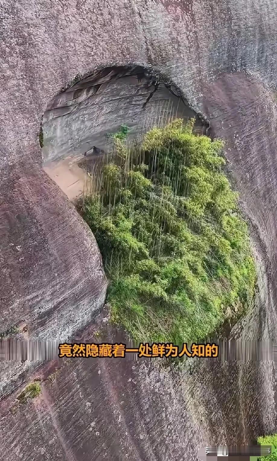 不得不说，大自然真的很神奇！