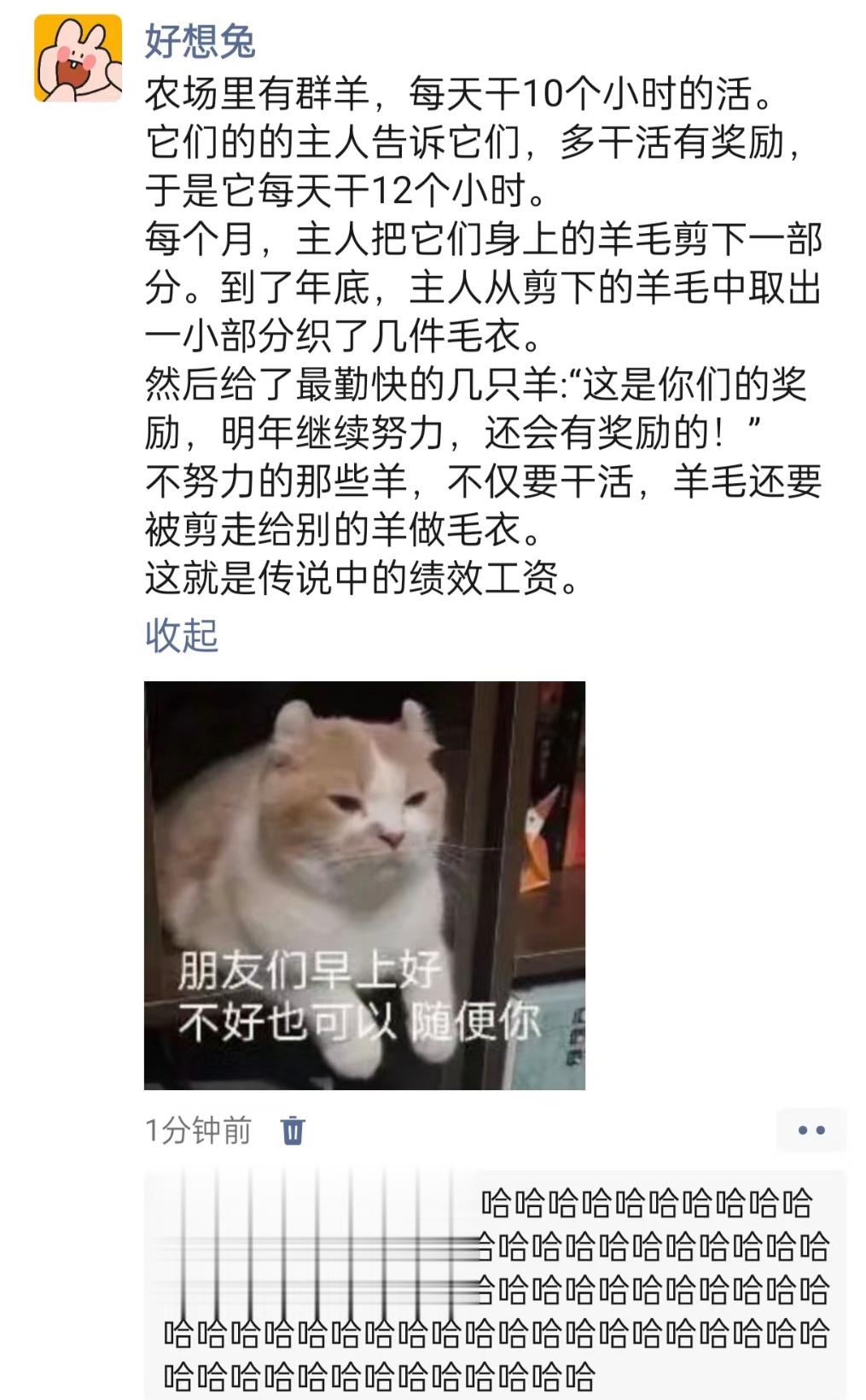 哈哈哈哈哈哈哈哈哈哈终于明白什么是绩效工资了 ​​​