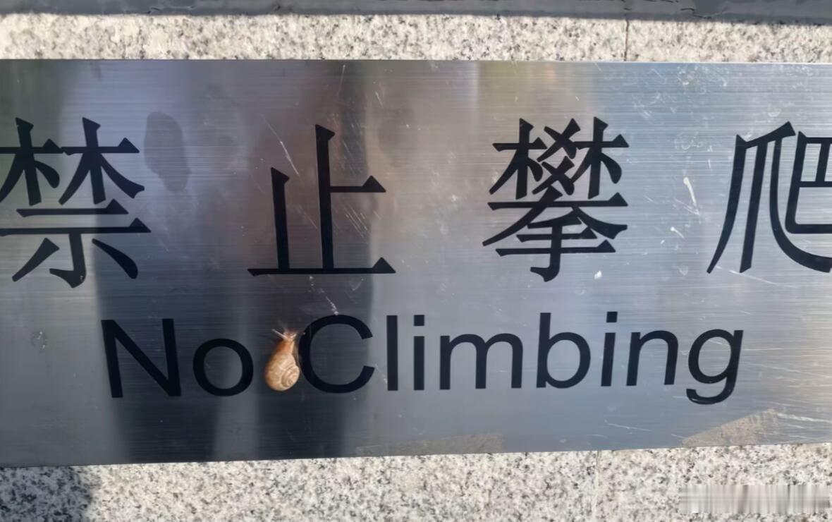 新冠又来了最近公司好多同事也病了身边也有朋友中招朋友圈又传出了那些声音大家理性看
