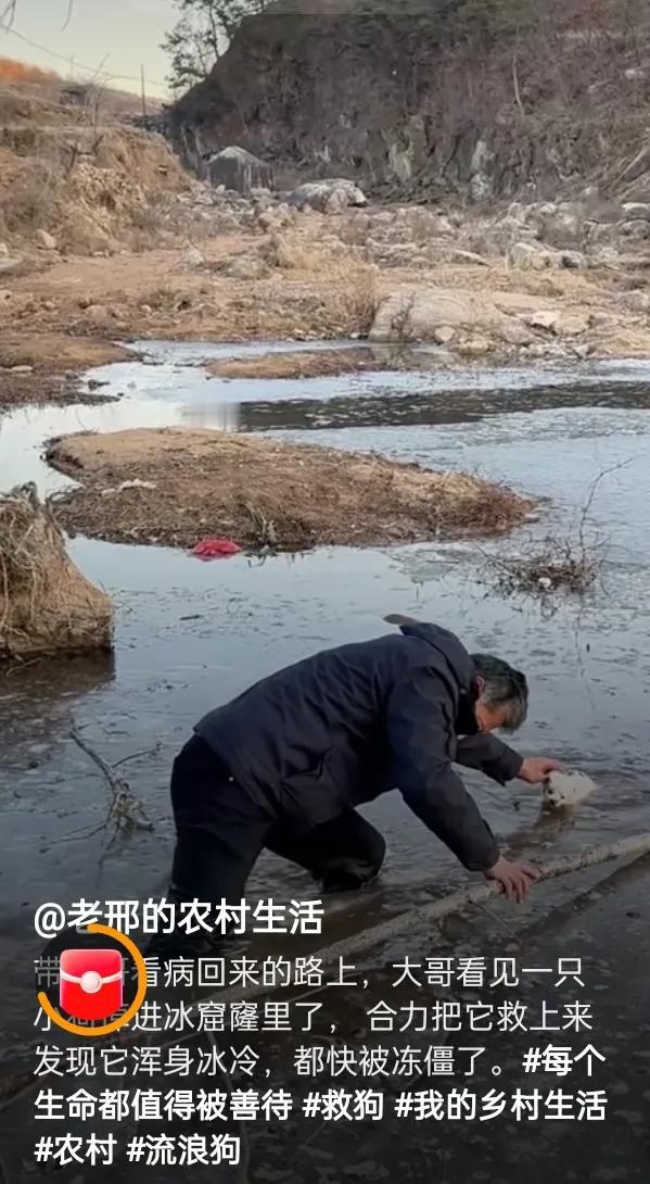 太令人感动了!人与自然和谐共生，人性光辉此刻都在善良的人身上得到了完美展现。
