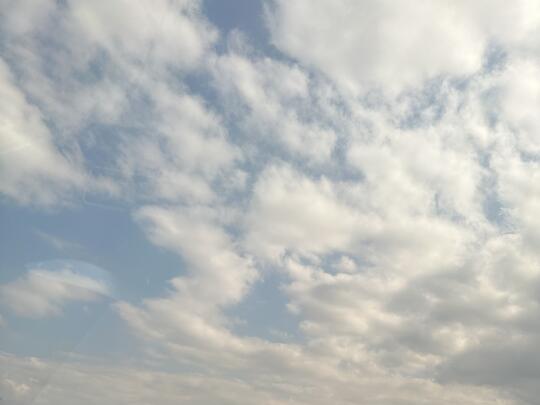 冷知识:1、一个女生长的越好看，反而可能女生朋友越少。 2、出生时，我...