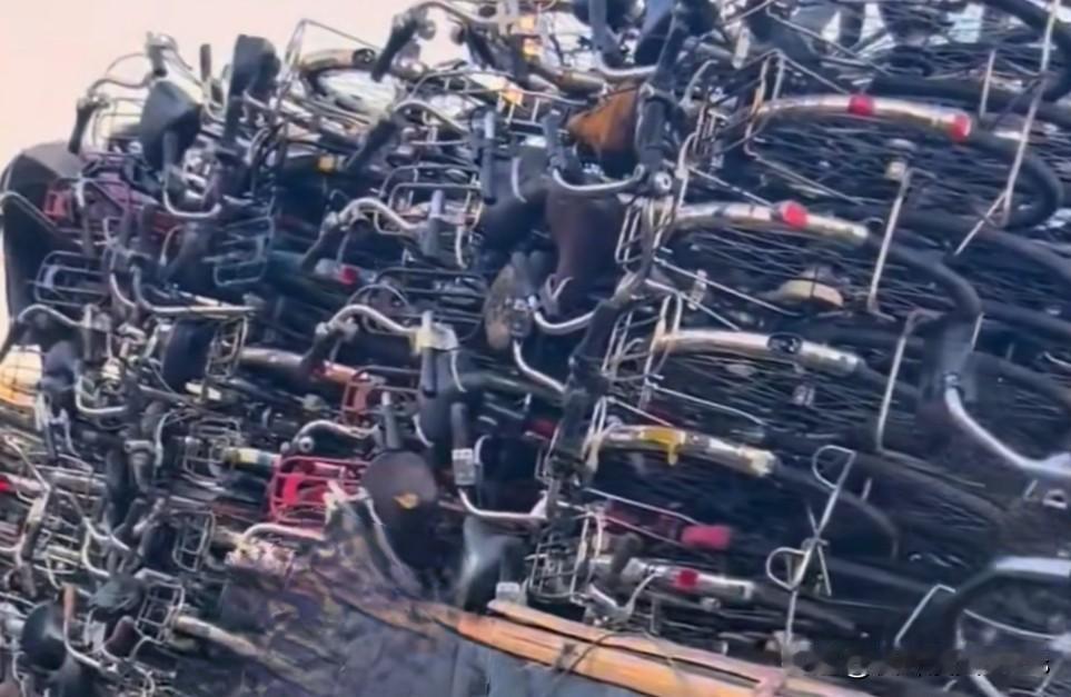 “汉奸行为”还是市场选择？进口自行车激增背后的新国标电动车迷思



最近，一段