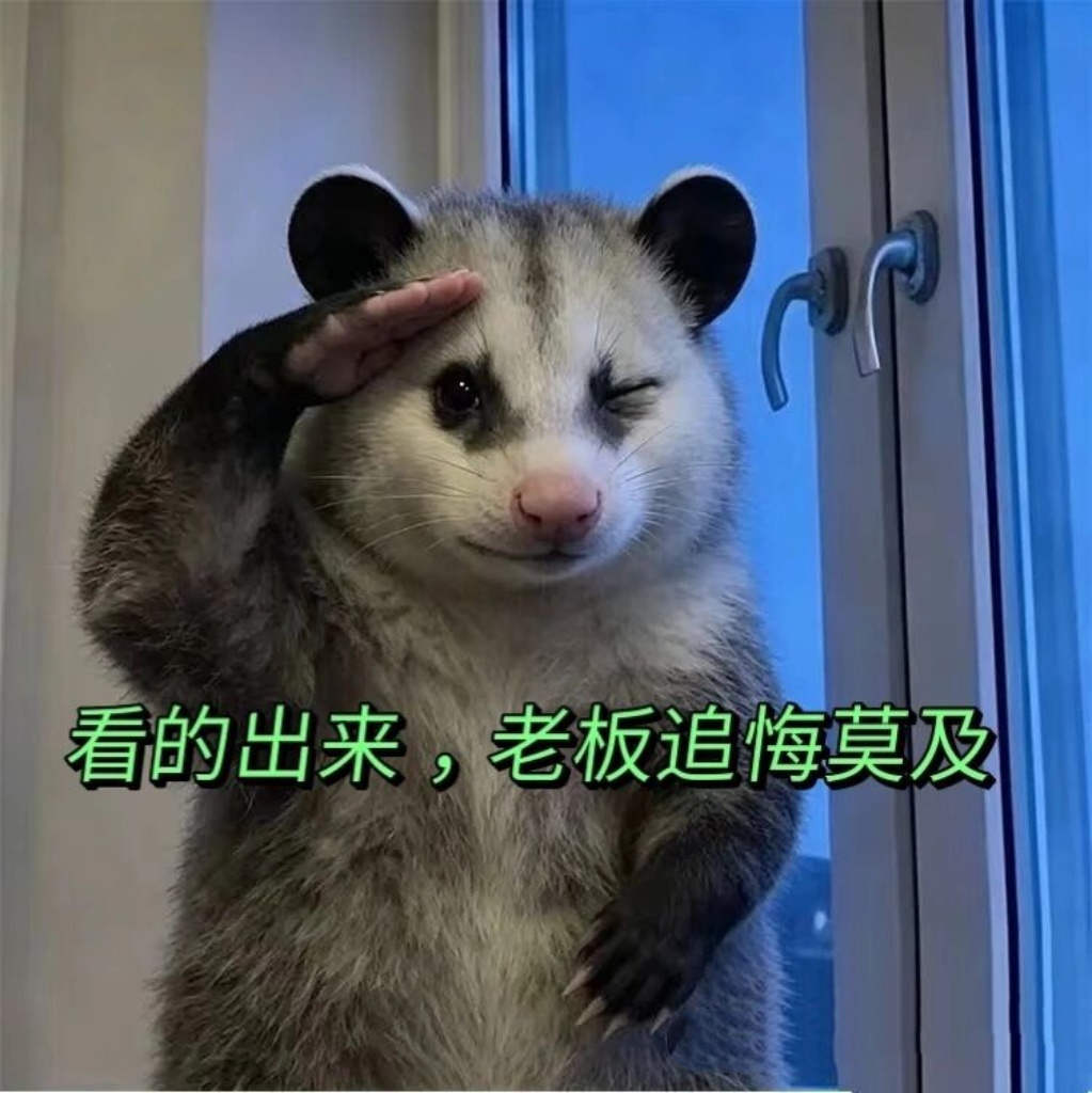 姐姐每天被這個騙，被那個騙一個拿了錢辦事的都沒有 ​​​