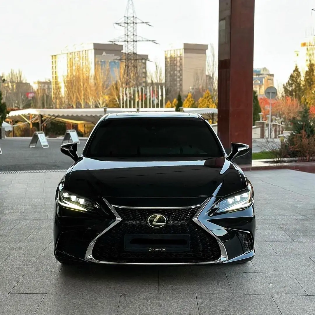 雷克萨斯专车专用门板装饰条，无损简安装。