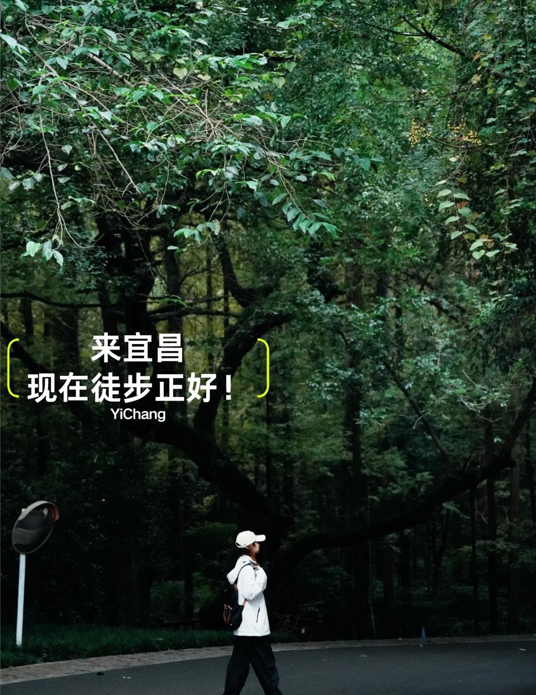 宜昌的秋天，请约我去徒步🍂
来宜昌！现在徒步正好🚶🏻‍♀️🚶🏻‍♂️