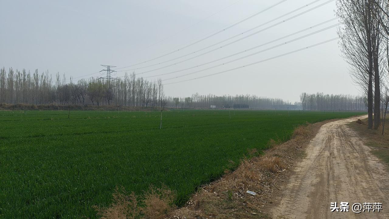 今年春天最想实现的心愿买彩票中的一等奖，我坚持买了好多年了。