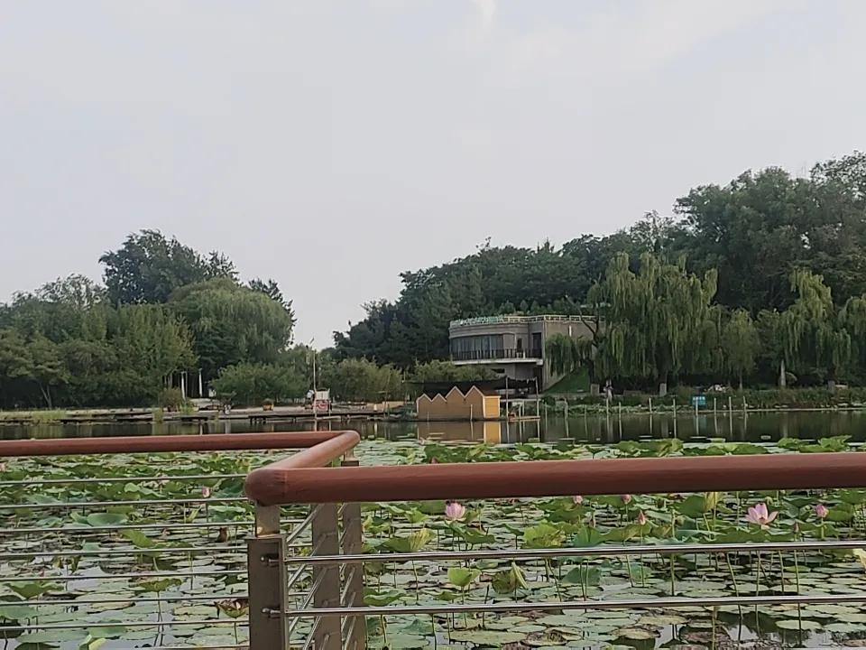 发一张图片，让我猜出你在哪里拍的