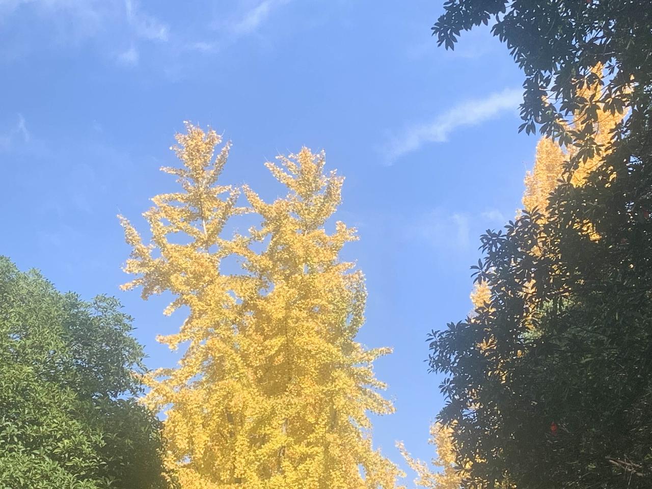 人这一辈子
想开了
就是幸福
想不开
就是痛苦

再大的事
若能放平心态
顺其自