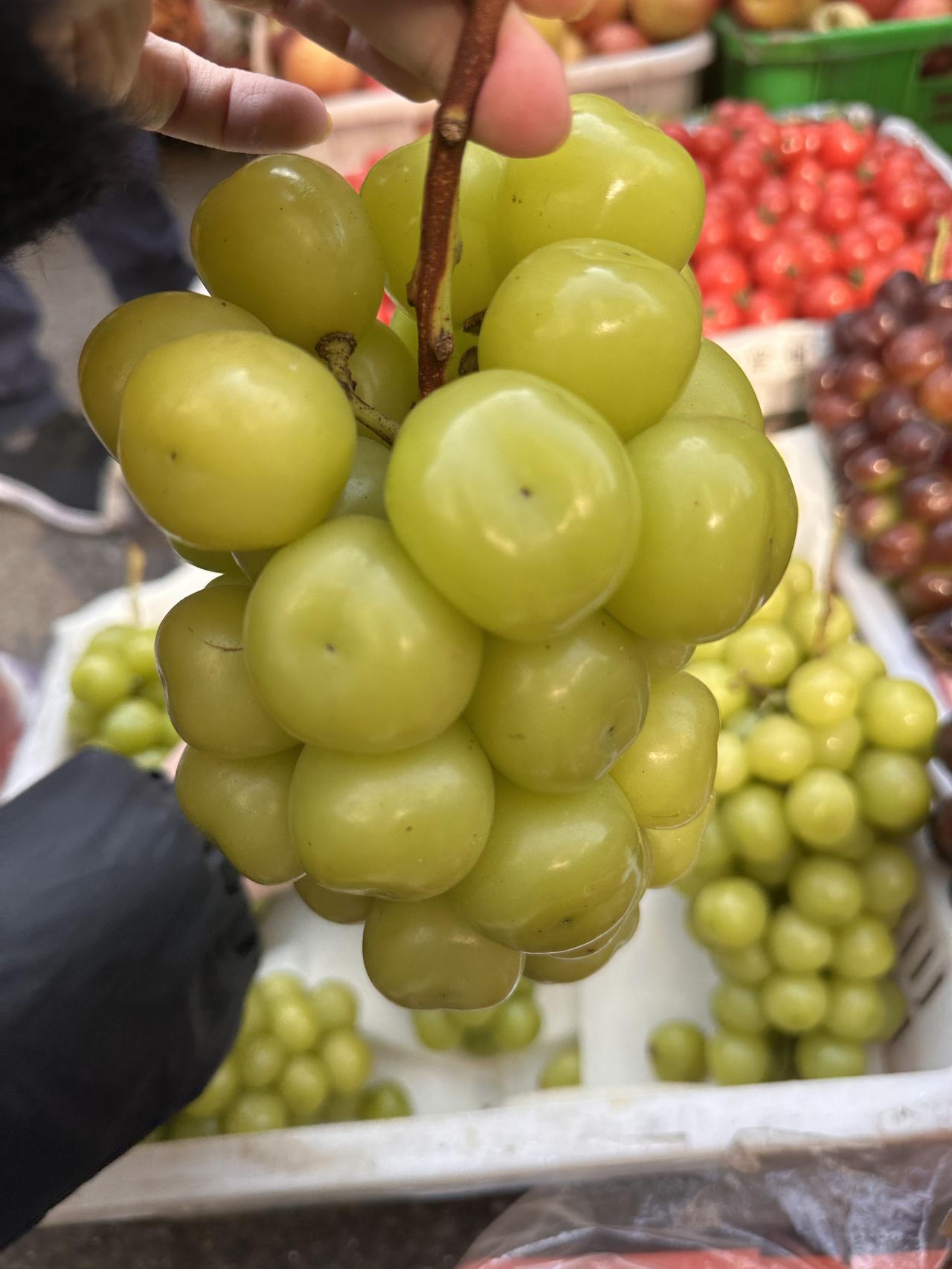 不提冷,怎么形容很冷? 吃烤红苕了