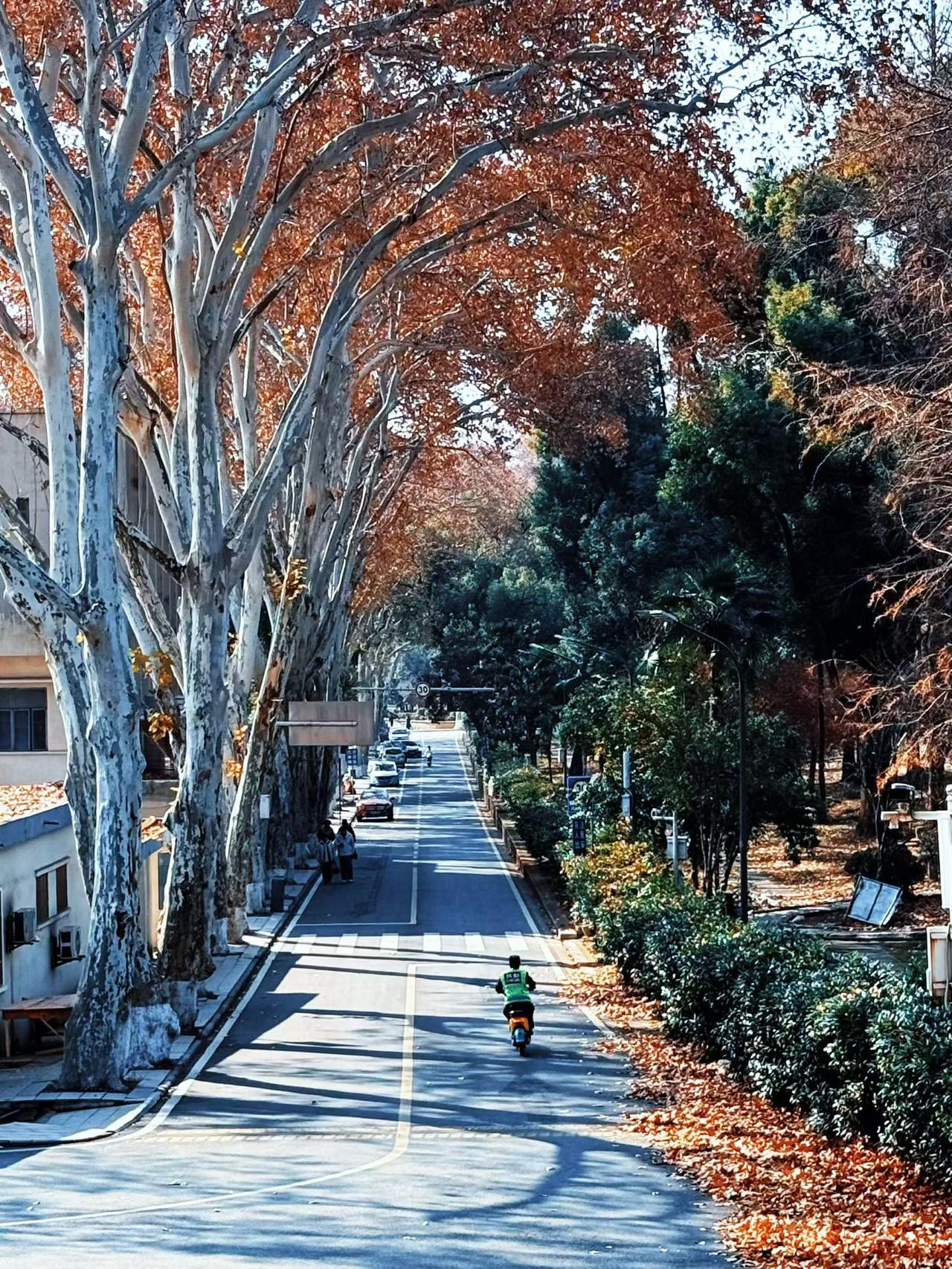 幸福从不是 “拥有更多”，而是 “珍惜所有”，在知足与努力中，让幸福常伴左右。对