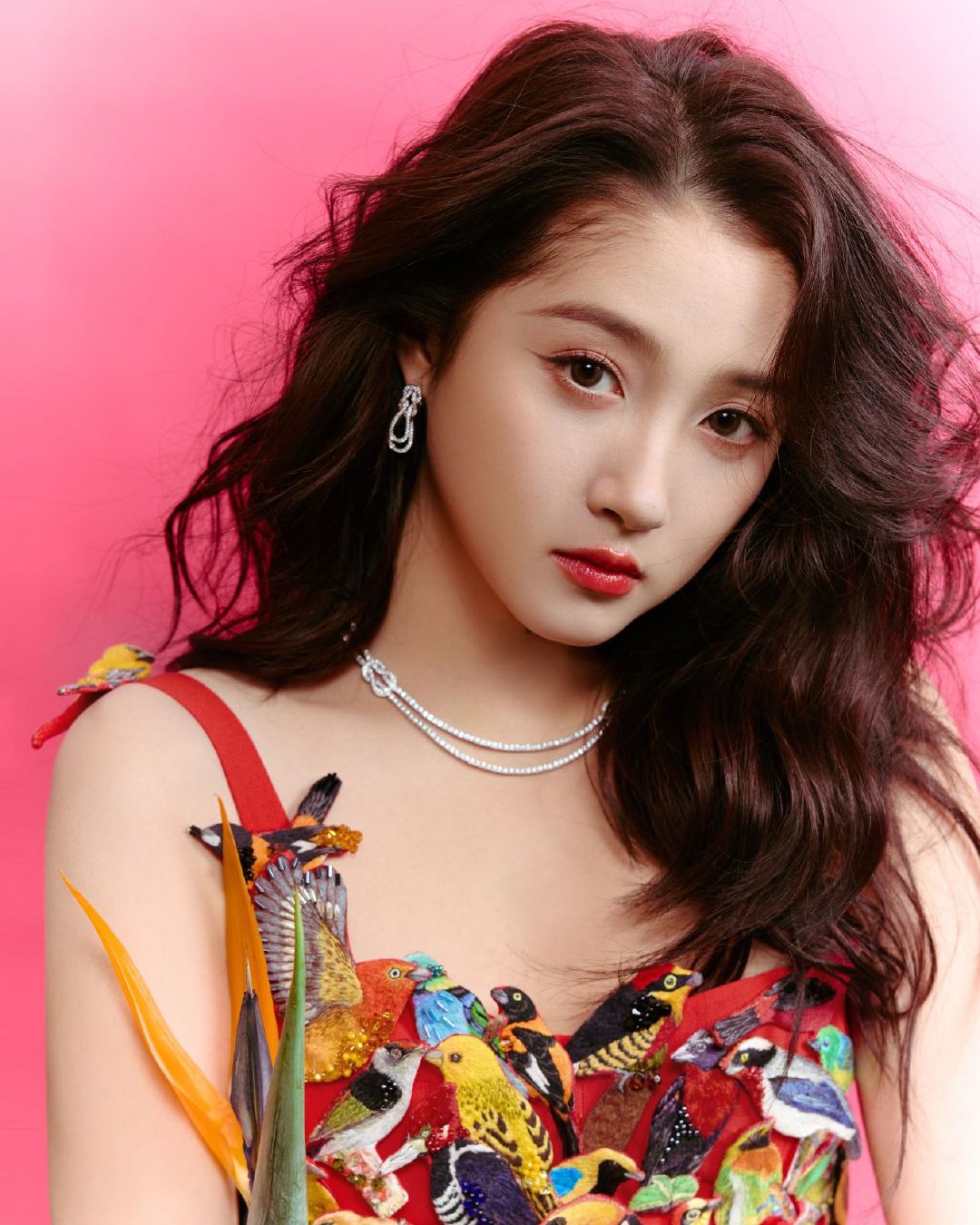 关晓彤小鸟依人  雀羽红高定下的关晓彤，展现出了女性的柔美与婉约，宛如小鸟依人般