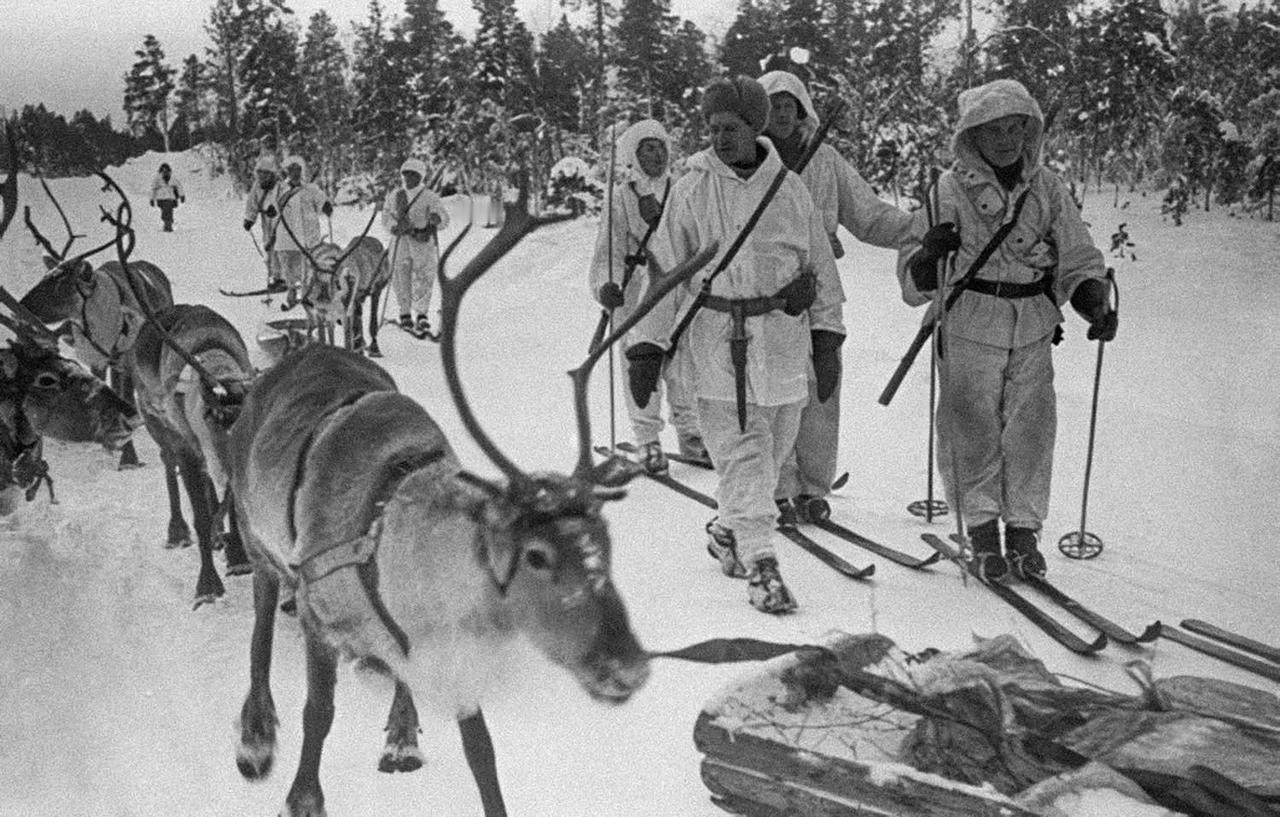 历史镜头下的驯鹿！1940年2月底，芬兰北部地区，芬兰滑雪部队正与驯鹿同行。
该