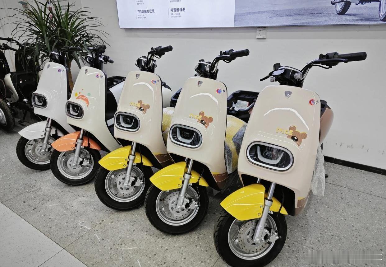 旧国标电动自行车变零公里二手车  这些年，两轮电动车车牌颜色、大小一直在变，消费