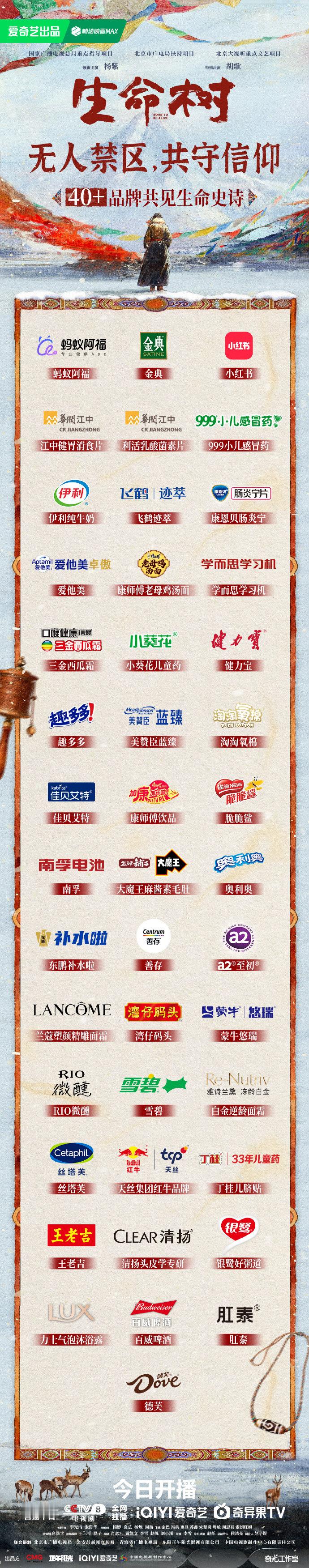 生命树打破爱奇艺品牌数史冠 杨紫胡歌扛招商 杨紫胡歌扛招商，生命树打破爱奇艺品牌