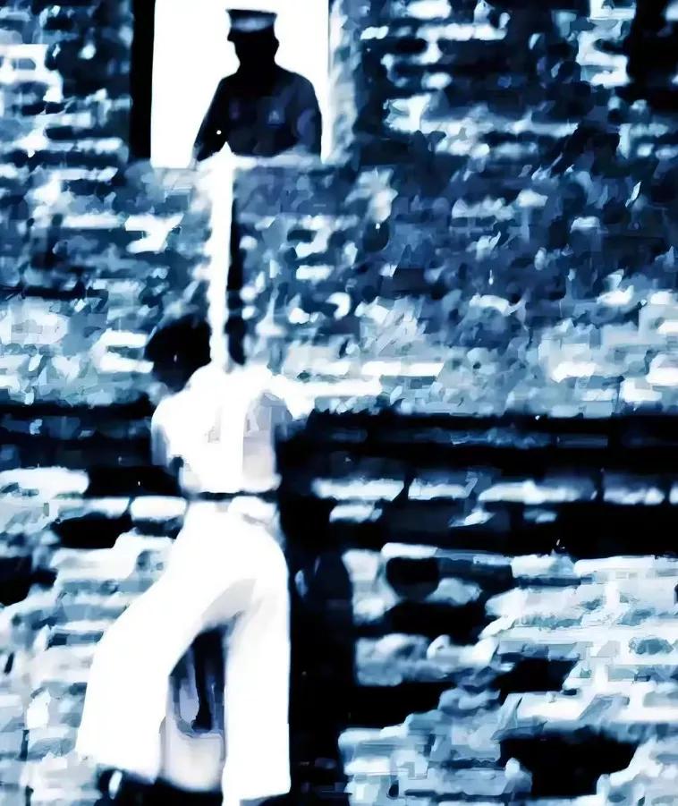 1937 年，日军兵临北京宛平城下，29 军少校参谋王启元，只身前去与日军谈判。