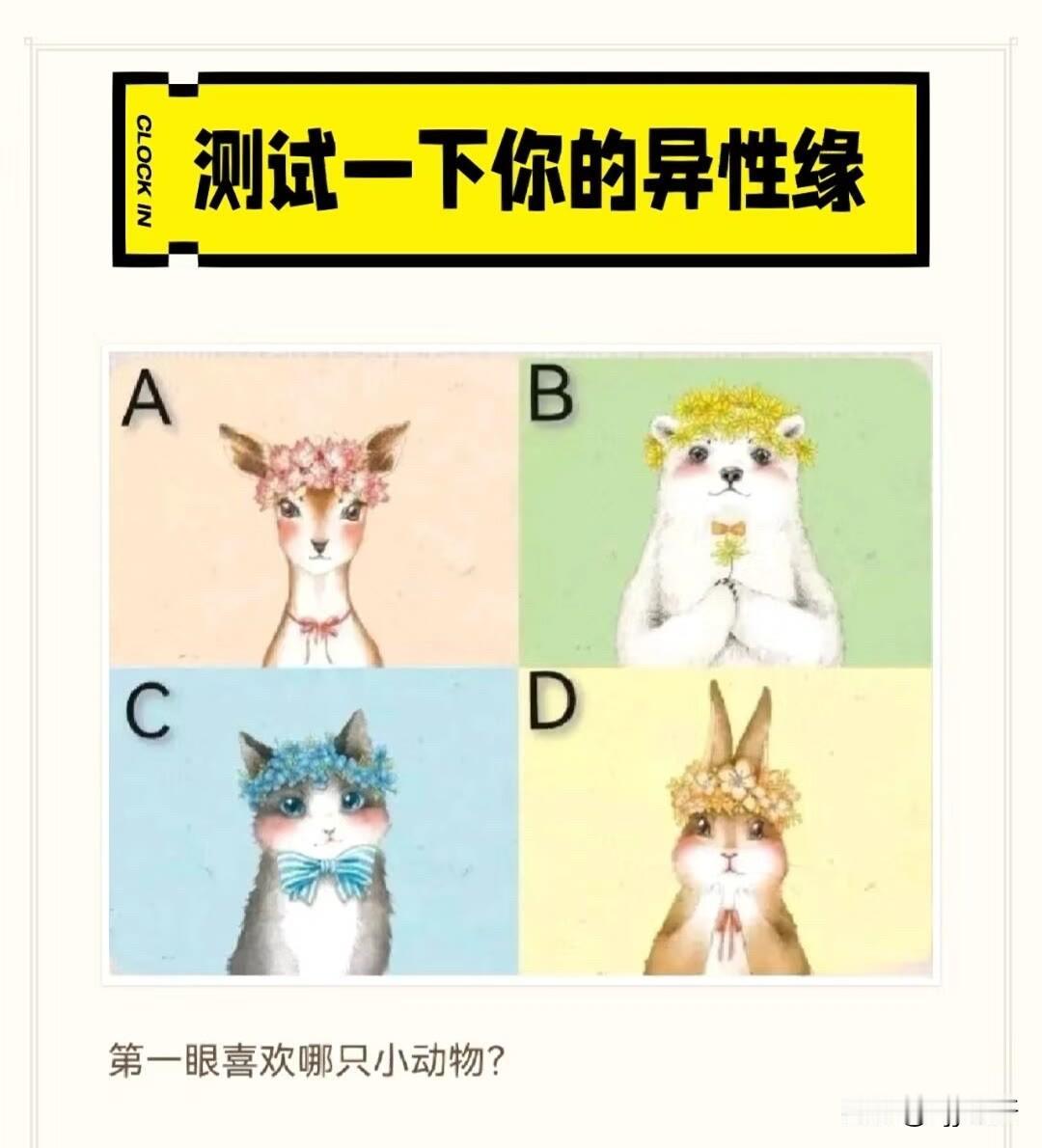 第一眼喜欢哪只小动物?