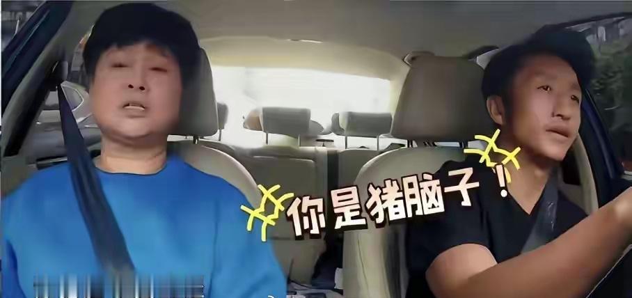 岳母：市明，你这方向盘咋打的？转个弯跟打架似的，你是猪脑子？

市明：妈……我、