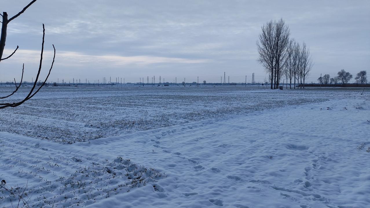 今天是正月十三日，昨天和前天下的雪没有消融。
现在是零下4°，天气预报显示未来几