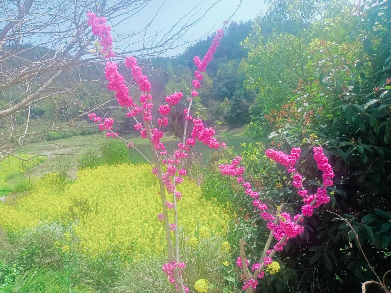 随和
 
在人际交往与处世之道中，“随和”是一个常被提及的褒义词，它勾勒出一种温