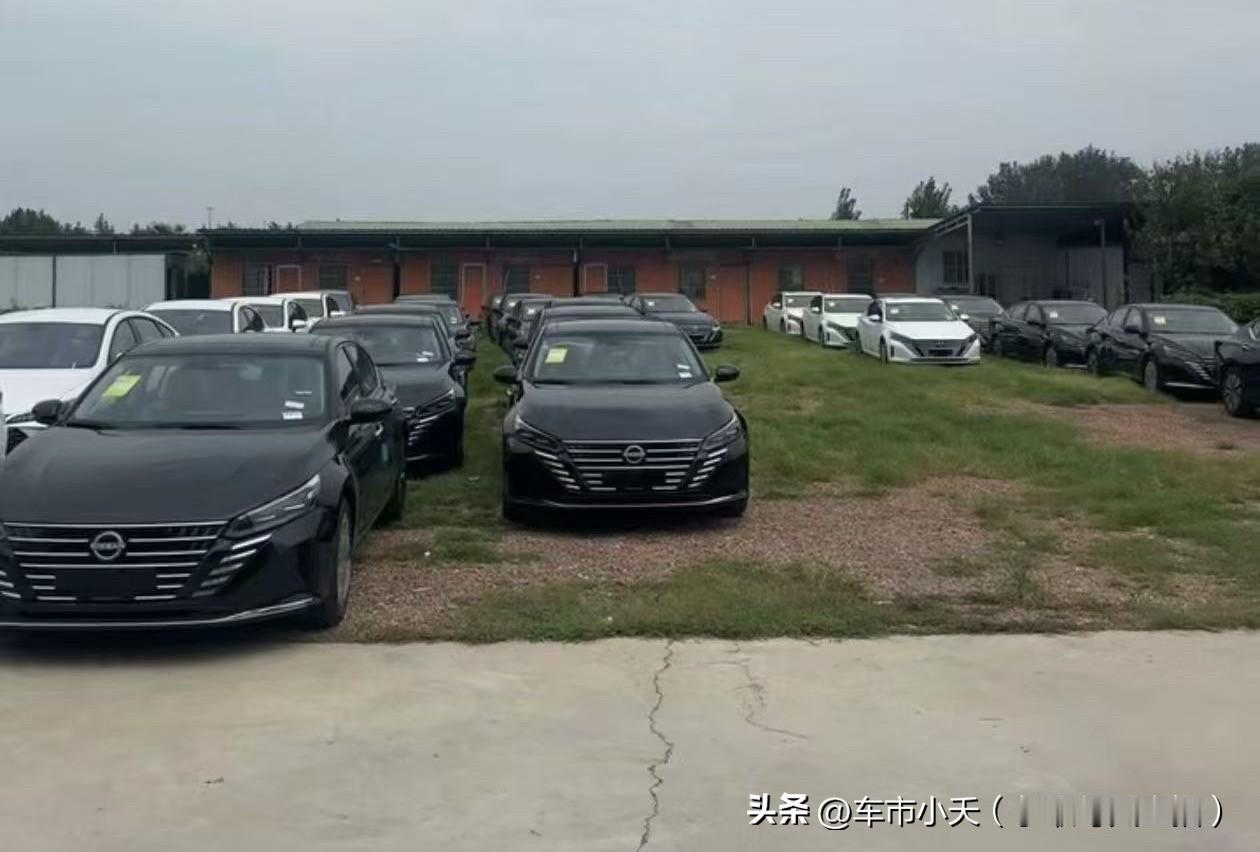 一般一个汽车品牌降价，通常都是自上而下的。比如现在日产轩逸降价普遍都在45000