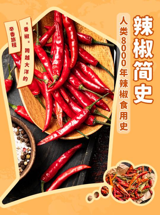 辣椒简史