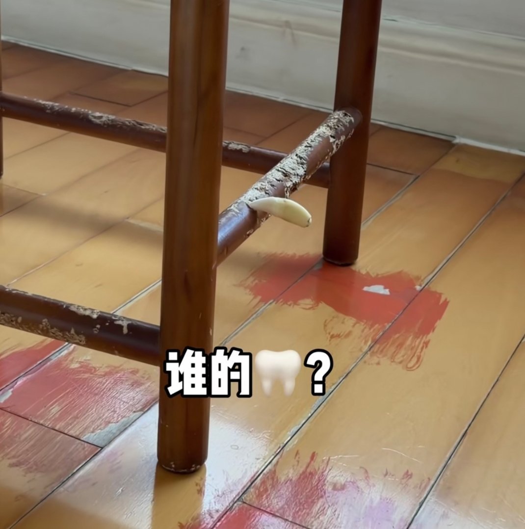 哈哈哈哈哈 