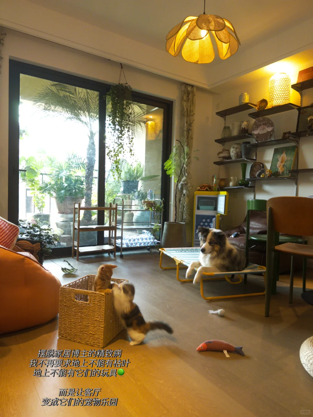 鲜活而生动的家 也是猫猫狗狗的乐园🫧