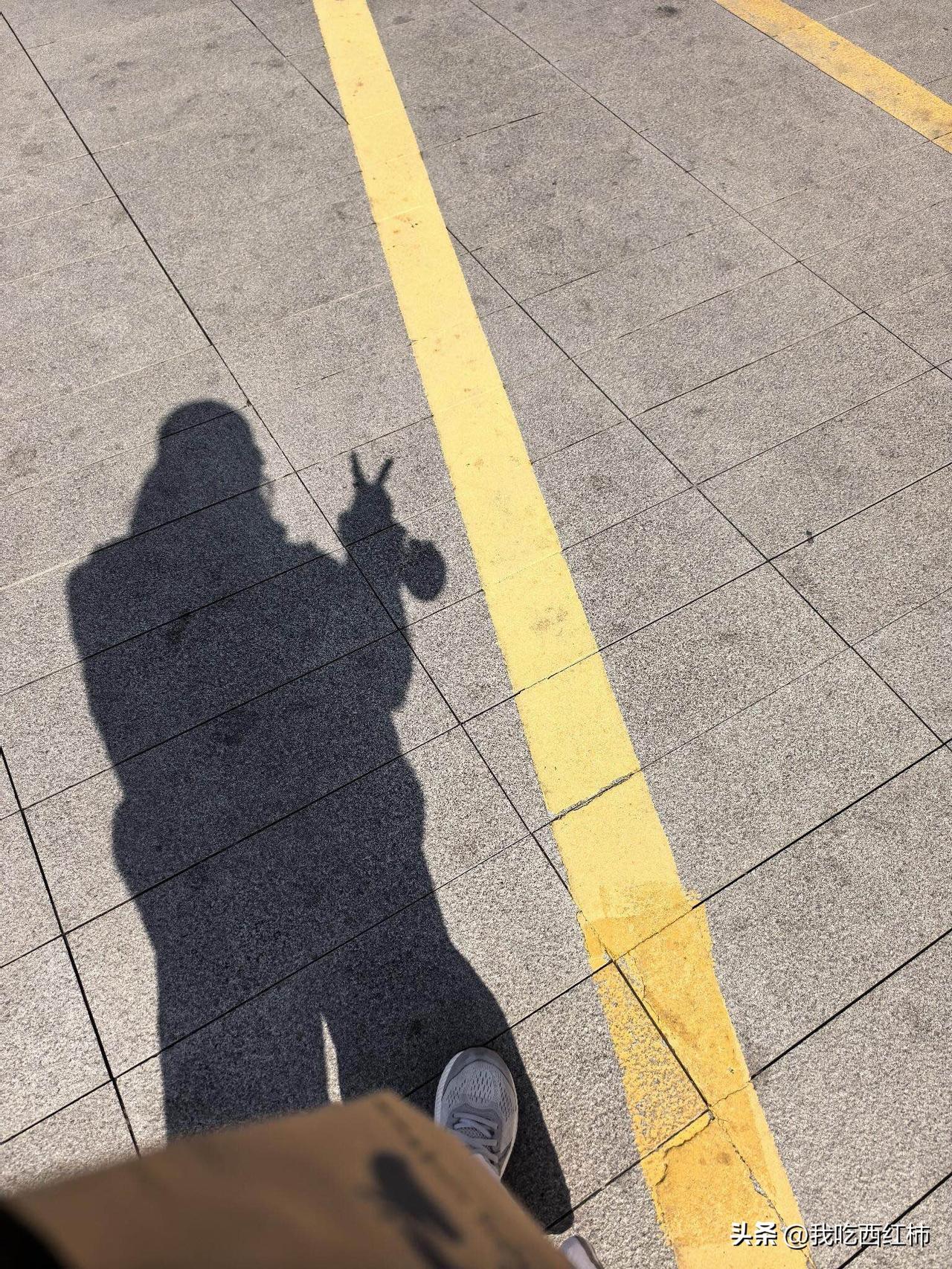 分手已三个月，时间的力量竟这般润物无声。直到今日这寻常的早晨，我才恍然惊觉自己已