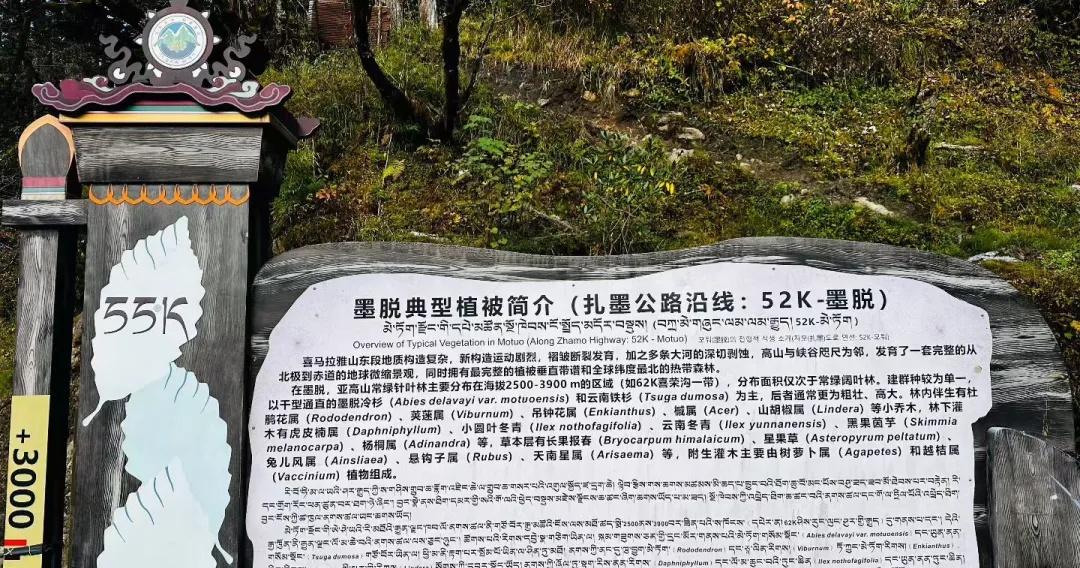 西藏 5 日自驾，每一程都是心之向往
📸 终于完成人生清单 TOP1：西藏自驾