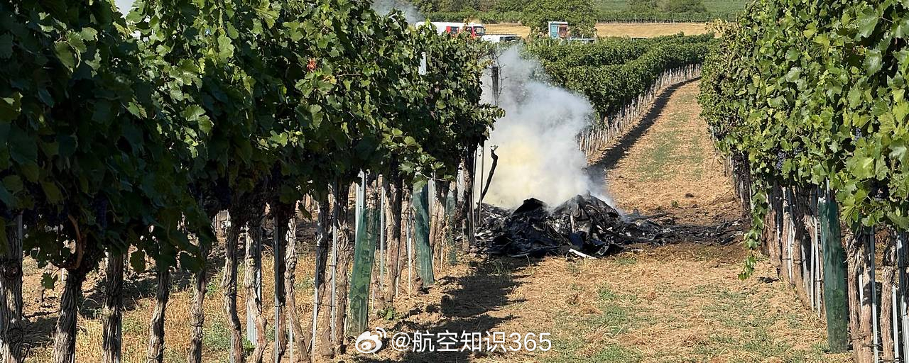【奥地利两架超轻型飞机空中相撞 两名飞行员死亡】据奥地利媒体8月24日报道，当天