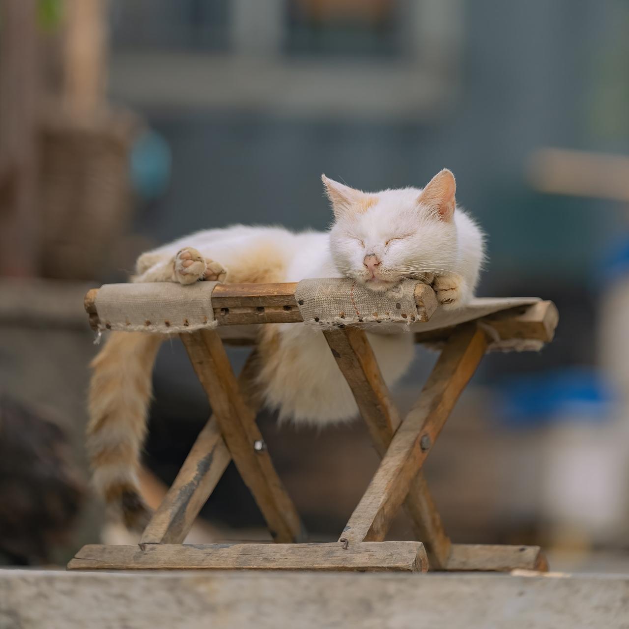 当妈的真不容易
刚下班，在电梯里碰到隔壁部门的同事
一开始没认出她，还是她跟我打