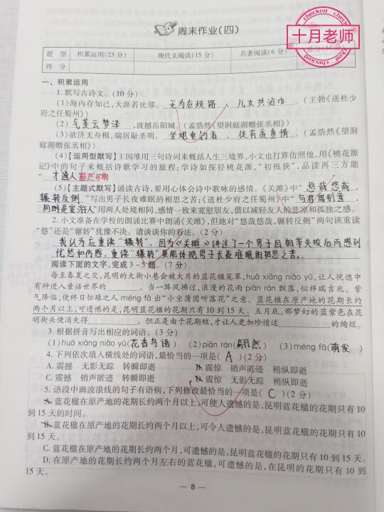 八年级语文下册积累运用和阅读理解专题训练