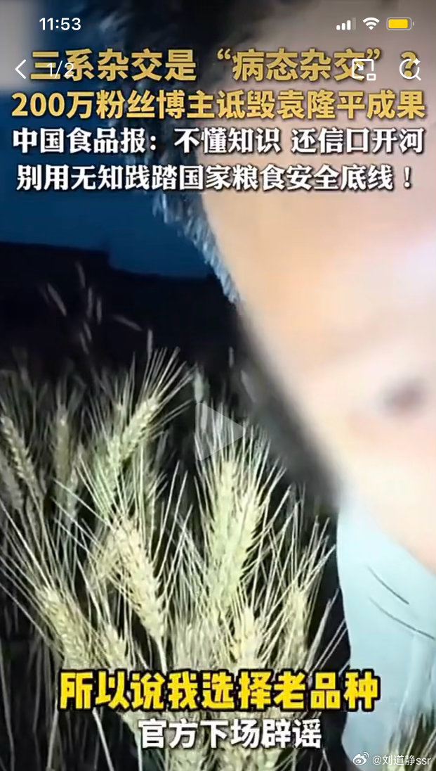 200万粉网红诋毁袁隆平水稻育种技术这不就吃饱了撑的么扔非洲饿两年就治好了 
