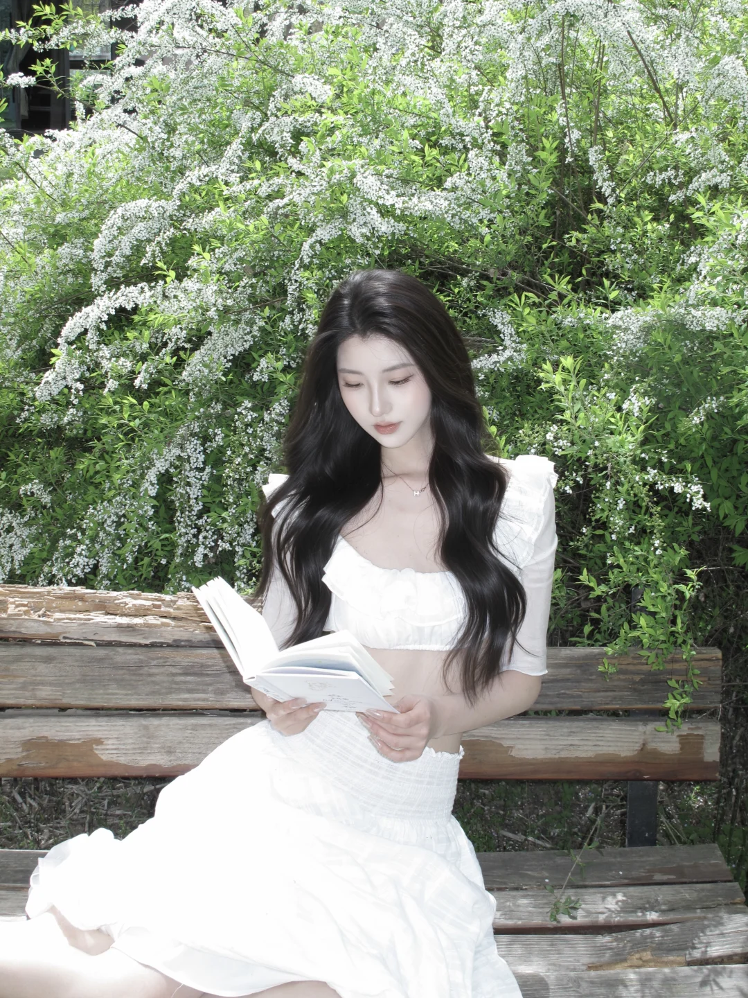 选CCD还是相机呢🤔