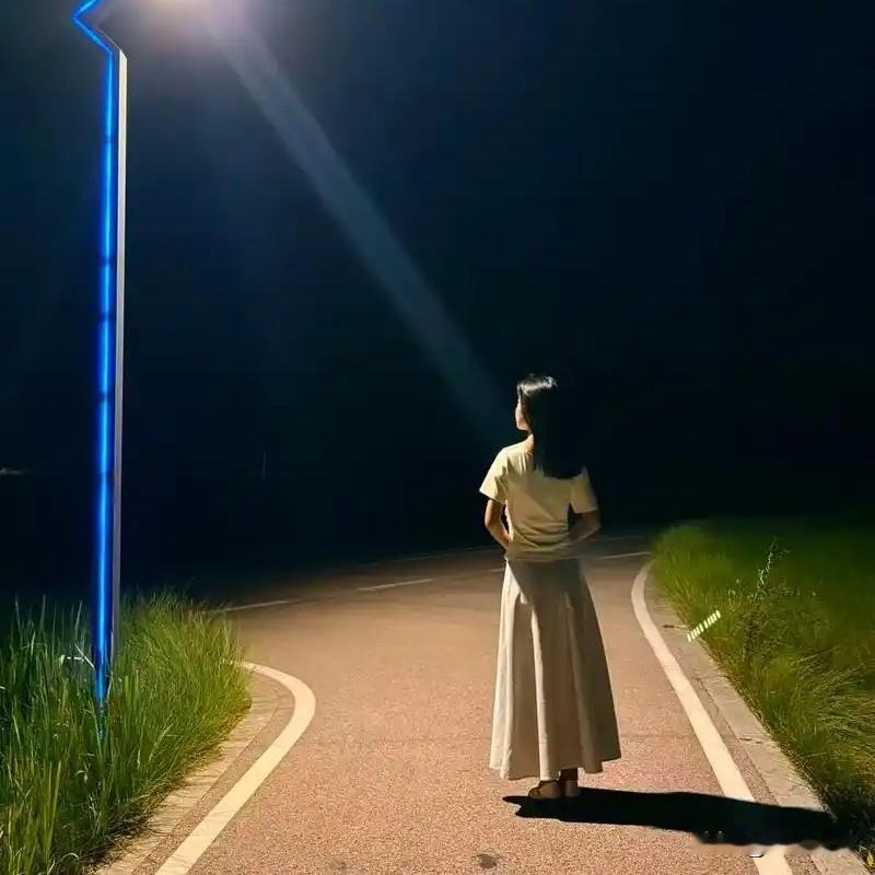 离别！我投喂的流浪猫

轻轻的我走了，
正如我轻轻的来；
我轻轻的招手，
作别巷