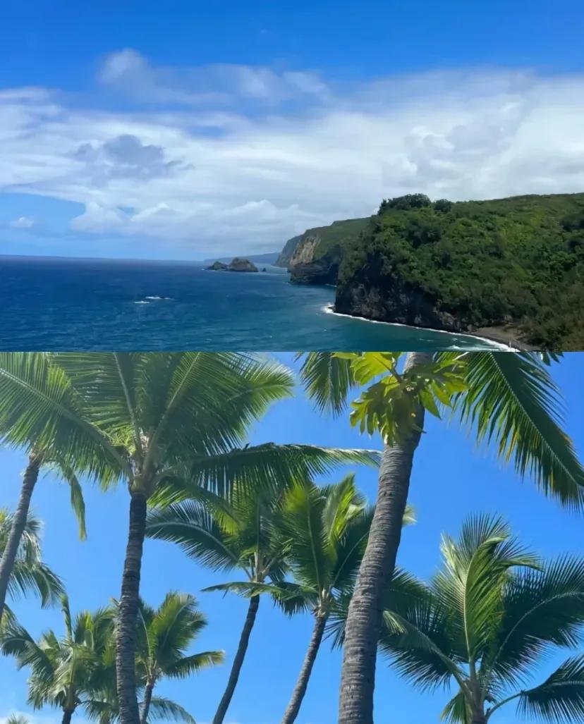 大家有没有觉得，出去旅游普遍觉得很累
看了一部叫白莲花度假村的剧，整个假期，主角