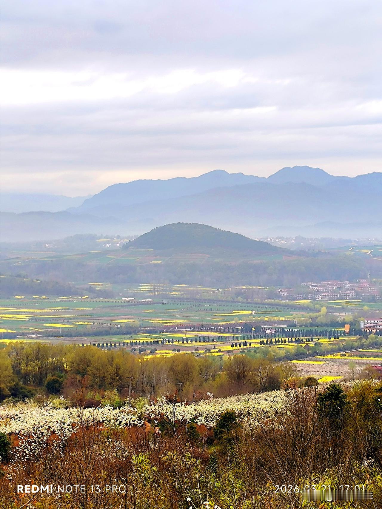 洋县梨园的梨花开的太美啦~
来陕西洋县之前只知道，朱鹮是国宝“特产”，而这里的朱
