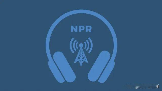 美国中期选举竞选季正式拉开帷幕。为此，美国国家公共广播电台（NPR）莱拉・法德尔