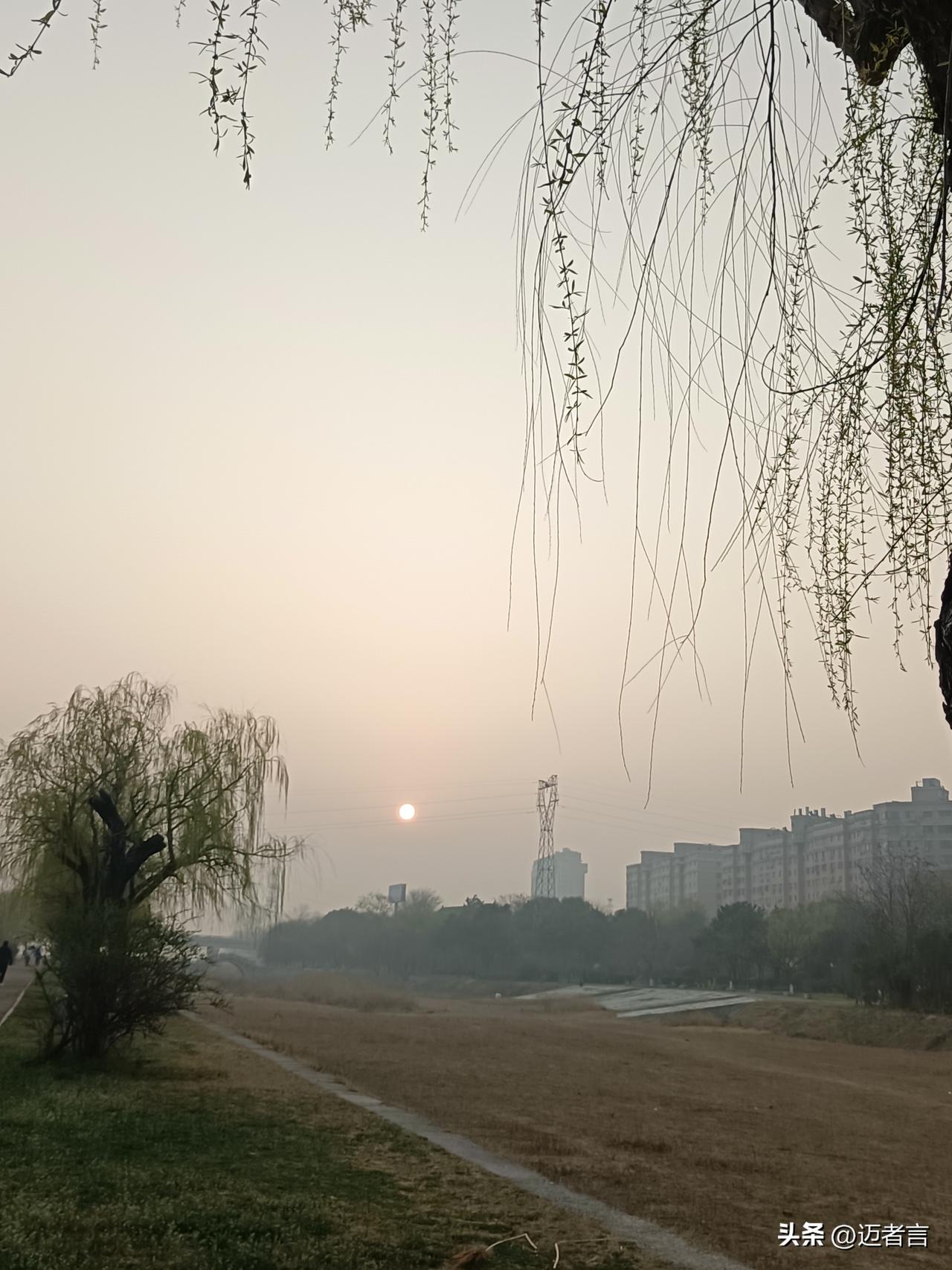 我坚持晨的步走，是习惯，是健身，更有蓦然窥见美好感动的愉悦！
走出高楼，在沿河的