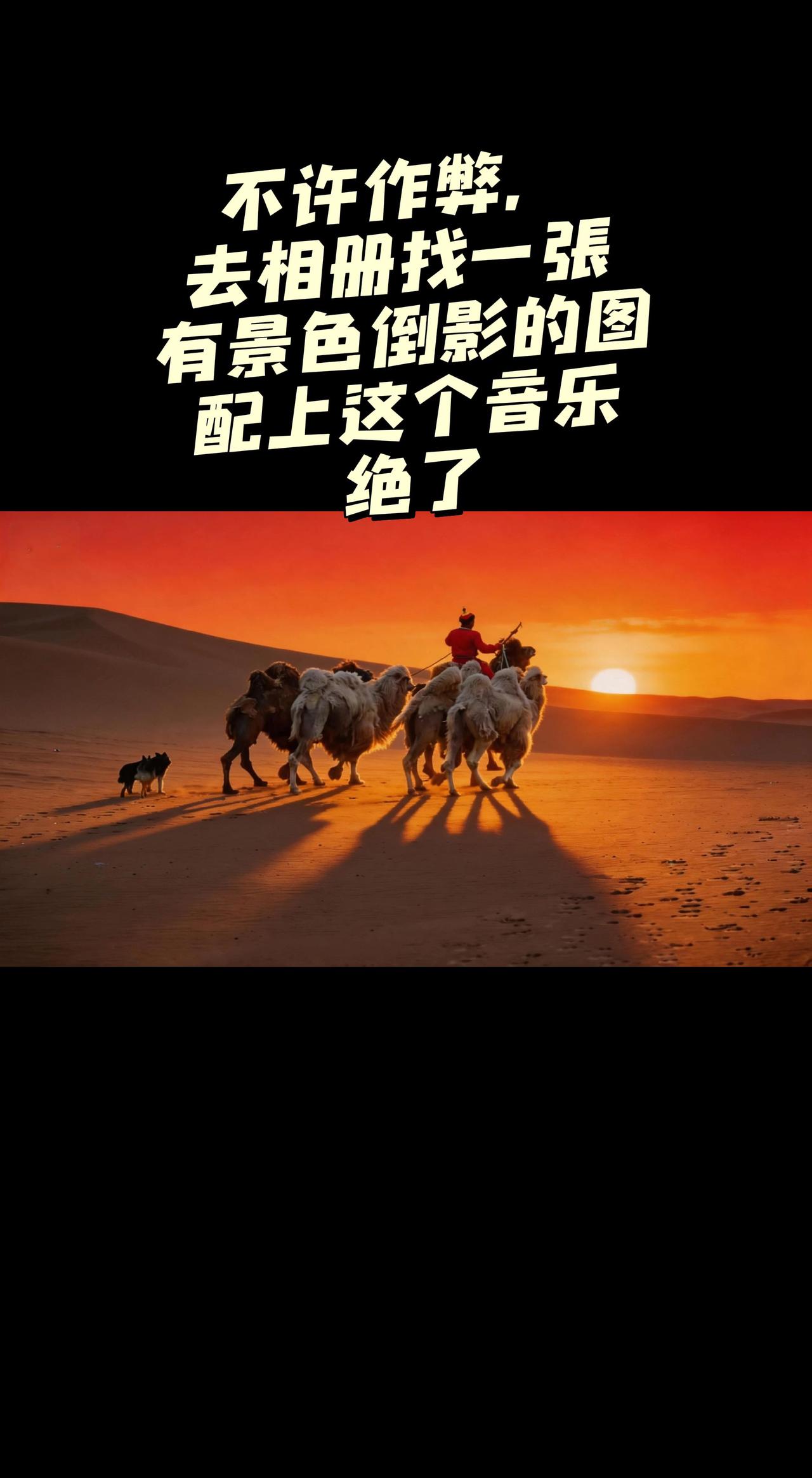漠上驼影