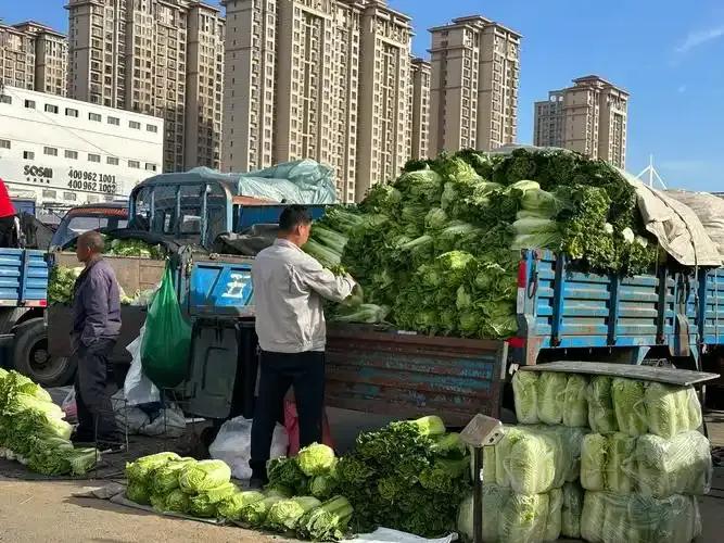 你家多少年没储存过冬菜了？
小时候一到秋冬之际，北方家家户户都会忙着储存冬菜，准